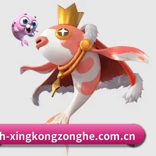 星空(中国)综合体育 APP